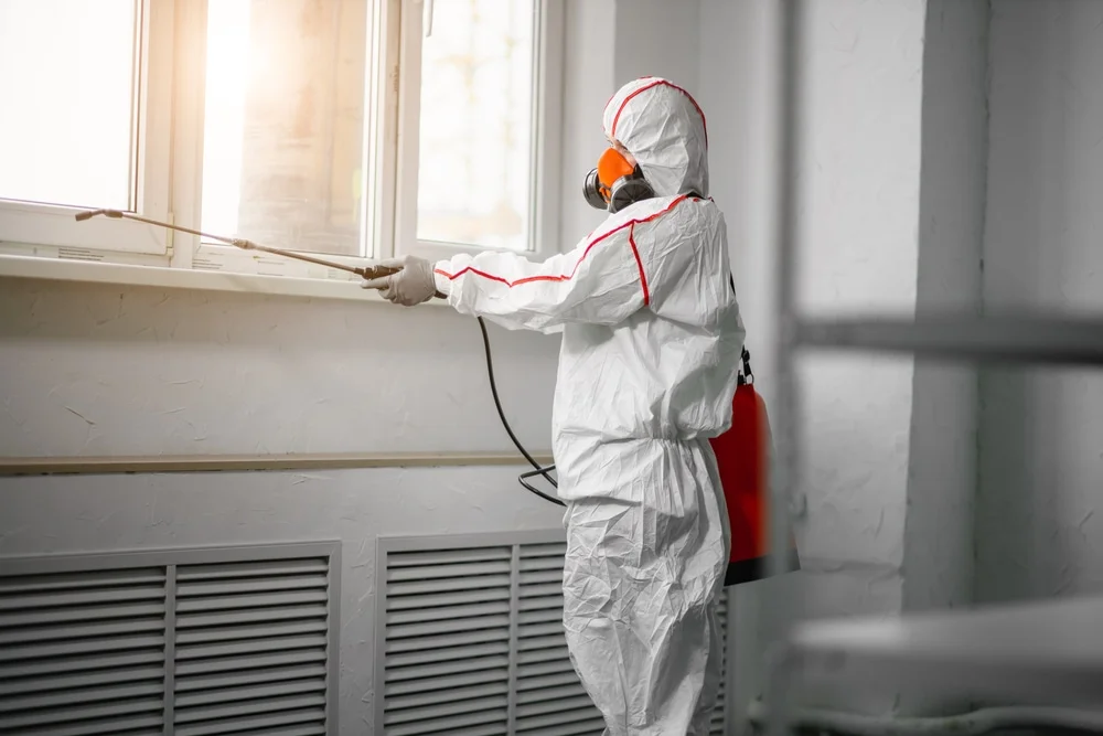 Professional mold remediation services in Kuna, ID